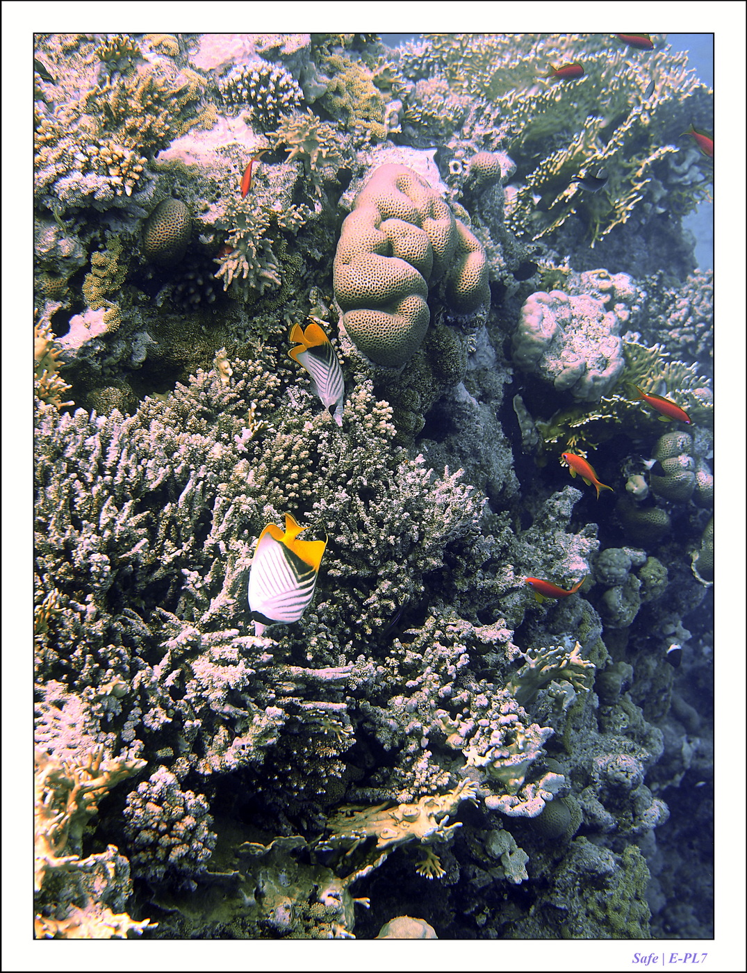 2023 - 03 - Charm El Sheikh - 16